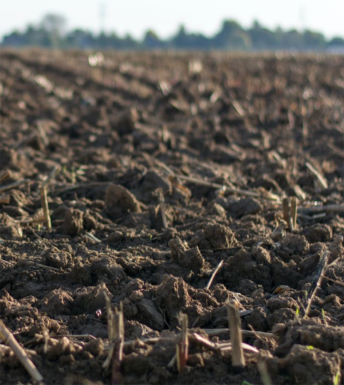 M&T Plastiek